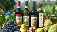 Toscane - wijn en olijfolie